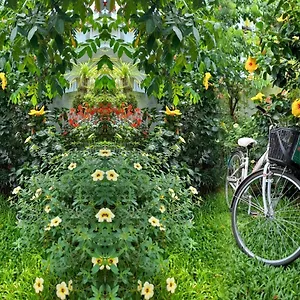 Star Garden Homestay Hoi An